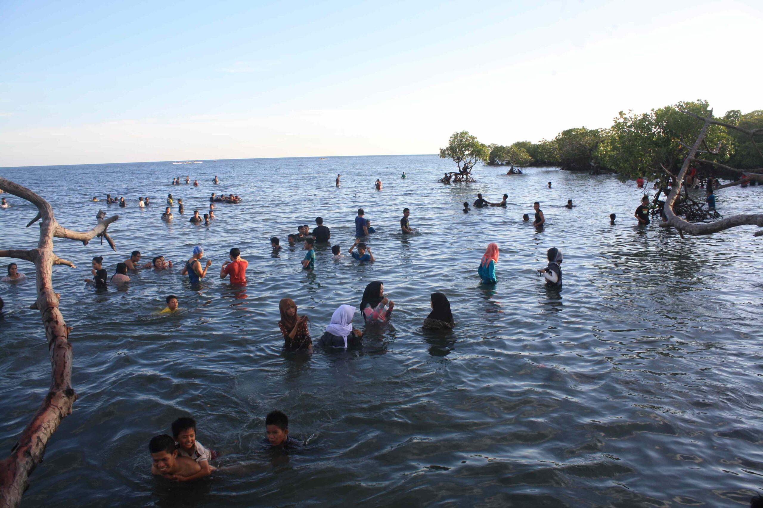 Bermain di pantai sambil menanam mangrove